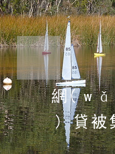 網(wǎng)貸被集體起訴(網(wǎng)貸被集體訴訟)