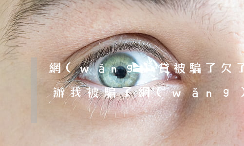 網(wǎng)貸被騙了欠了一屁股債怎么辦(我被騙了網(wǎng)貸怎么辦)
