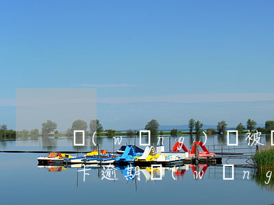 網(wǎng)貸被騙導(dǎo)致信用卡逾期(網(wǎng)貸被騙導(dǎo)致信用卡逾期)