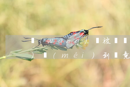 網(wǎng)貸被騙簽合同，錢(qián)沒(méi)到賬竟還讓我還款！