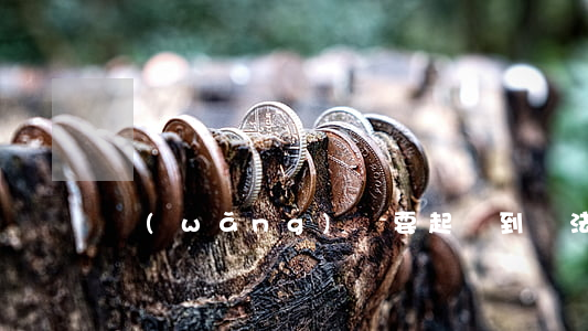 網(wǎng)貸要起訴到縣法院