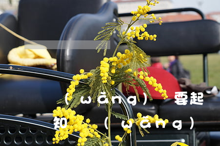 網(wǎng)貸要起訴會(huì)先通知嗎（網(wǎng)貸要起訴會(huì)先通知嗎）
