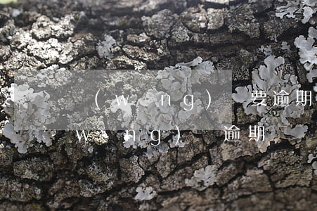 網(wǎng)貸要逾期了熬不過去了(網(wǎng)貸逾期時間長了最后怎么解決)