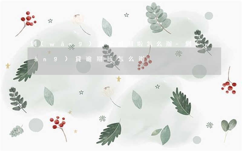 網(wǎng)貸要逾期啦怎么辦-網(wǎng)貸逾期該怎么辦