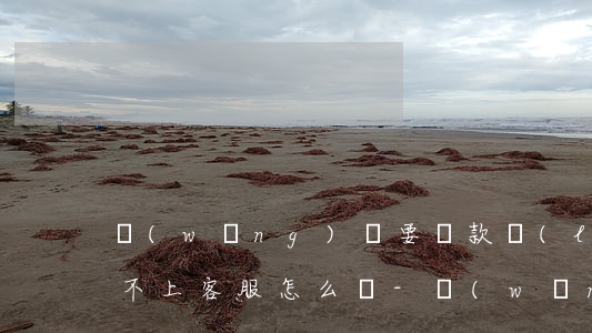 網(wǎng)貸要還款聯(lián)系不上客服怎么辦-網(wǎng)貸不能還款,聯(lián)系不到客服
