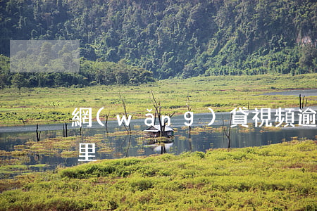 網(wǎng)貸視頻逾期會發(fā)哪里
