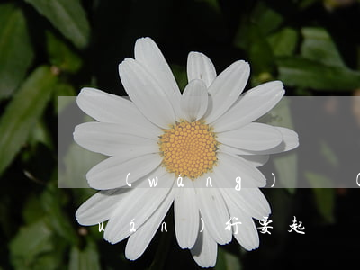 網(wǎng)貸說(shuō)債權(quán)行要起訴 網(wǎng)貸債務(wù)訴訟時(shí)效多長(zhǎng)時(shí)間