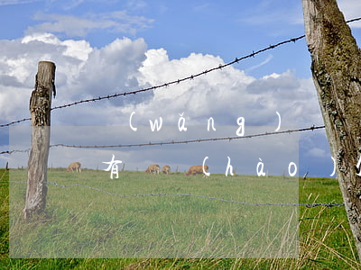 網(wǎng)貸說(shuō)要起訴還有單號(hào)(欠網(wǎng)貸說(shuō)已經(jīng)起訴我了)