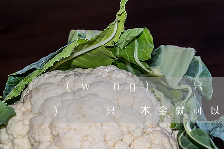 網(wǎng)貸說只還本金(網(wǎng)貸說只還本金就可以)