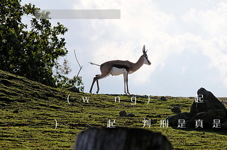 網(wǎng)貸說起訴判刑 網(wǎng)貸說起訴判刑是真是假