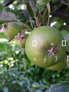 網(wǎng)貸說起訴要違約金 網(wǎng)貸說起訴要違約金
