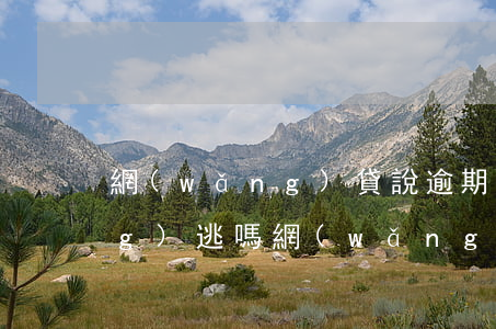 網(wǎng)貸說逾期會變成網(wǎng)逃嗎(網(wǎng)貸逾期會網(wǎng)上追逃嗎)