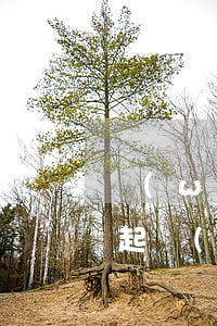網(wǎng)貸負(fù)債3萬多還不起(網(wǎng)貸負(fù)債3萬怎么辦)