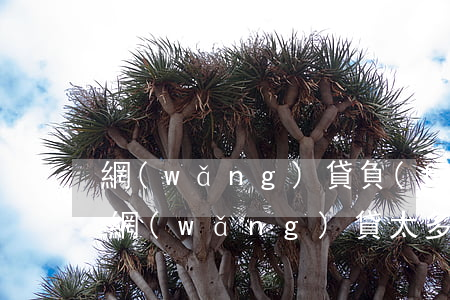 網(wǎng)貸負(fù)債太多怎么辦(網(wǎng)貸太多了我該怎么辦)