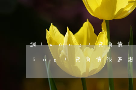 網(wǎng)貸負債12萬想死-網(wǎng)貸負債很多想死了