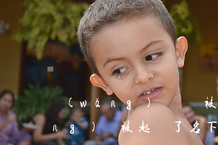 網(wǎng)貸負債被起訴(如果網(wǎng)貸被起訴了名下負債會凍結(jié)嘛)