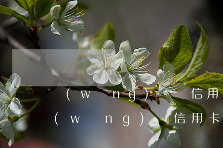 網(wǎng)貸貨信用卡逾期該怎么辦(網(wǎng)貸,信用卡逾期怎么辦)