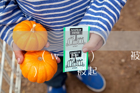 網(wǎng)貸貨償被起訴(網(wǎng)貸貨償被起訴)
