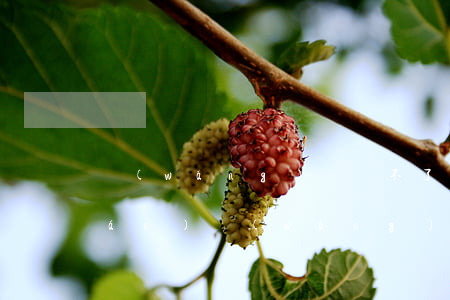 網(wǎng)貸貸不了了怎么借錢(qián)（網(wǎng)貸貸不了了怎么借錢(qián)）