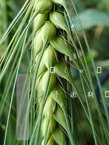 網(wǎng)貸貸不了錢沒逾期過(為什么不逾期網(wǎng)貸卻借不到錢)