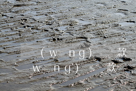 網(wǎng)貸貸款糾紛起訴流程-網(wǎng)貸貸款糾紛起訴流程是什么
