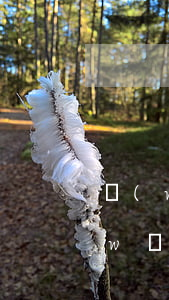 網(wǎng)貸貸款逾期半年會怎樣(網(wǎng)貸逾期幾個月嚴重嗎)