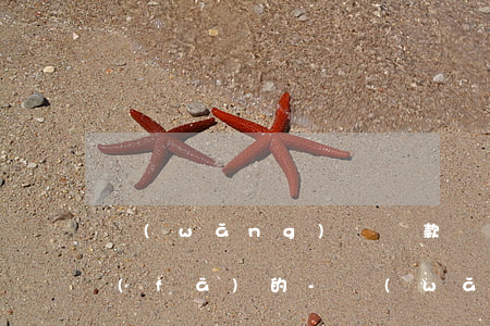 網(wǎng)貸貸款還款成功短信怎么發(fā)的-網(wǎng)貸貸款還款成功短信怎么發(fā)的通知