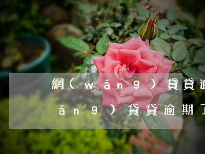 網(wǎng)貸貸逾期了會怎么樣(網(wǎng)貸貸逾期了會怎么樣)