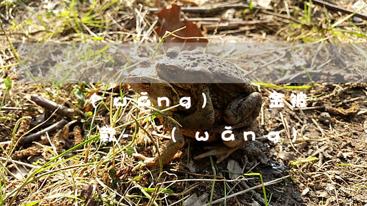 網(wǎng)貸資金被凍結讓我每個月都還款-網(wǎng)貸資金被凍結讓我每個月都還款,會遭遇催收嗎
