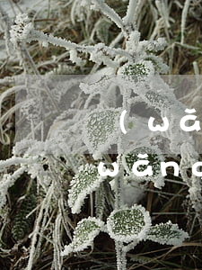 網(wǎng)貸賭博欠五萬還不起了(網(wǎng)貸賭博欠五萬還不起了)
