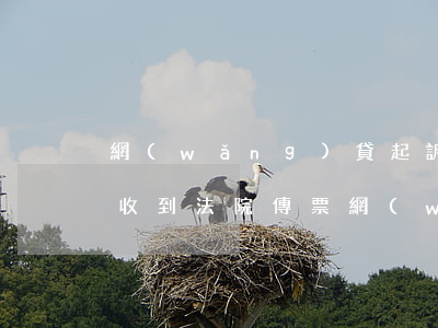 網(wǎng)貸起訴了多久會(huì)收到法院傳票（網(wǎng)貸逾期被起訴會(huì)收到傳票嗎）