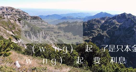 網(wǎng)貸起訴了是只本金嗎-網(wǎng)貸起訴要還利息嗎