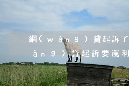 網(wǎng)貸起訴了要求還本金 網(wǎng)貸起訴要還利息嗎