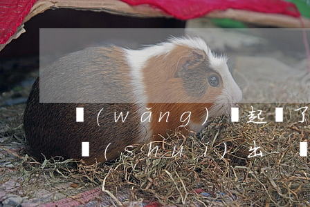 網(wǎng)貸起訴了起訴費(fèi)誰(shuí)出-網(wǎng)貸被起訴訴訟費(fèi)誰(shuí)出