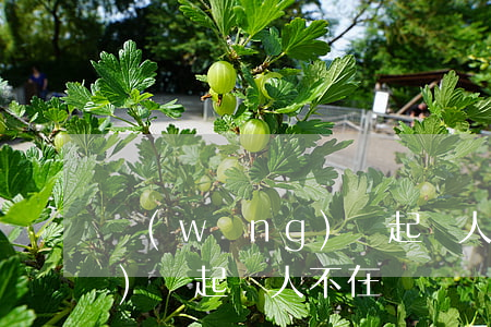 網(wǎng)貸起訴人不在(網(wǎng)貸起訴人不在)