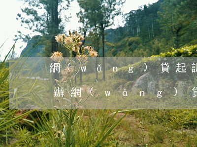 網(wǎng)貸起訴以后沒有能力還怎么辦（網(wǎng)貸起訴可以不認賬嗎）