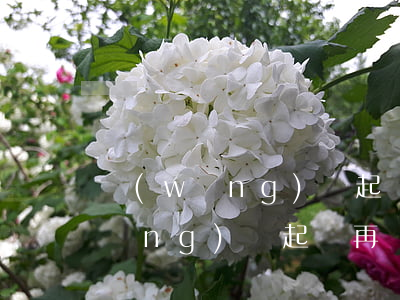 網(wǎng)貸起訴以后還清了(等網(wǎng)貸起訴再還錢)