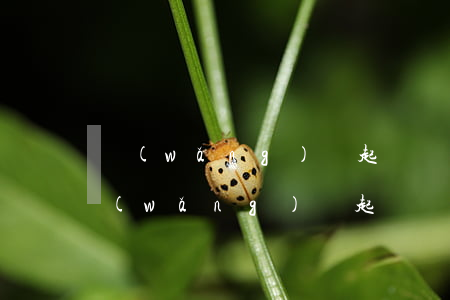 網(wǎng)貸起訴傳票通常寄到哪里（網(wǎng)貸起訴傳單是真的嗎）