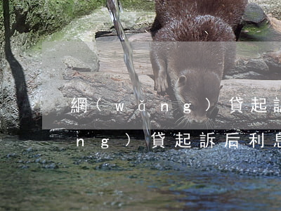 網(wǎng)貸起訴利息違約金（網(wǎng)貸起訴后利息）