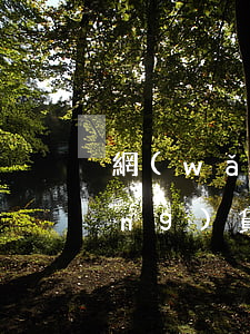 網(wǎng)貸起訴到異地法院(網(wǎng)貸起訴到異地法院)