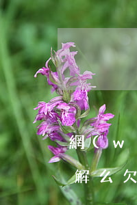 網(wǎng)貸起訴前有調(diào)解么(欠網(wǎng)貸訴前調(diào)解算立案嗎)