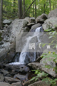 網(wǎng)貸起訴前還錢
