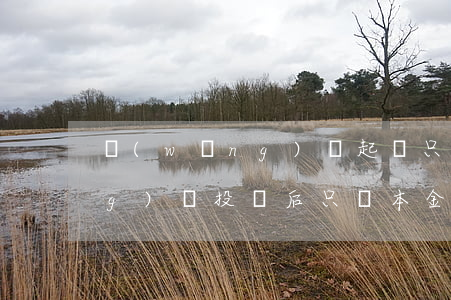 網(wǎng)貸起訴只還本金（網(wǎng)貸投訴后只還本金）