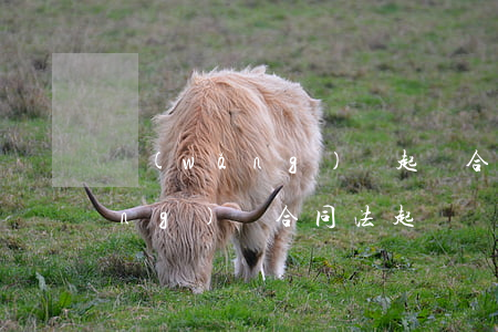 網(wǎng)貸起訴合同糾紛嘛(網(wǎng)貸合同法起訴)