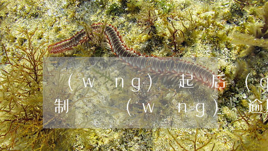 網(wǎng)貸起訴后強(qiáng)制傳喚(網(wǎng)貸逾期被起訴收到法院傳票)