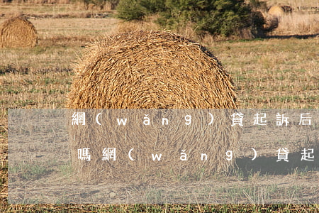 網(wǎng)貸起訴后會(huì)拘留嗎 網(wǎng)貸起訴后會(huì)拘留嗎多久