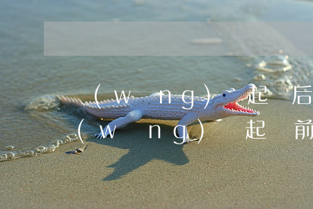 網(wǎng)貸起訴后法院會下傳票嗎（網(wǎng)貸起訴前財產(chǎn)轉(zhuǎn)移有效嗎）