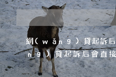 網(wǎng)貸起訴后注意什么(網(wǎng)貸起訴后會直接判決嗎)