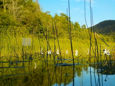 網(wǎng)貸起訴后直接凍結(jié)