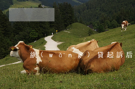 網(wǎng)貸起訴后費(fèi)用